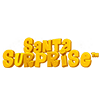 Santa Surprise