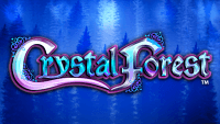 Crystal Forest