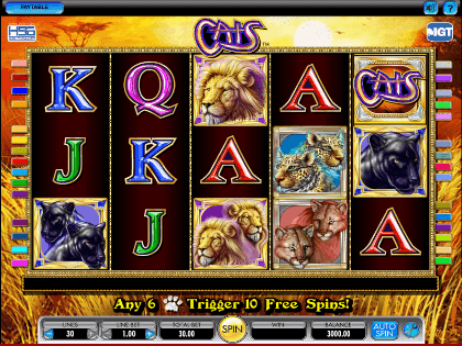 Cat Queen Slot