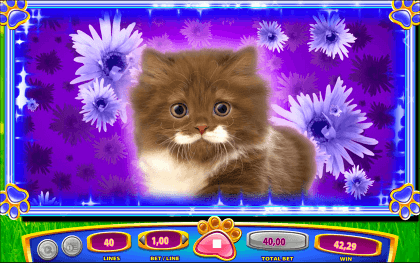 Omg kittens game Omg kittens game